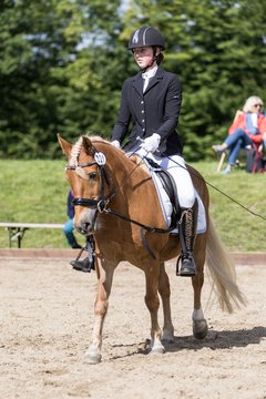 Bild 542 - Pony Akademie Turnier